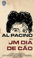 Um Dia de Cao