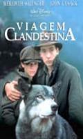 Viagem Clandestina