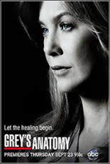 Greys Anatomy Sétima Temporada Box 6 Dvds