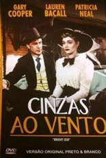 Cinzas ao Vento