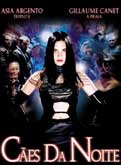Caes da Noite
