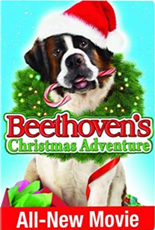 Beethoven Aventura de Natal