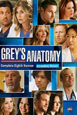 Greys Anatomy Oitava Temporada Completa