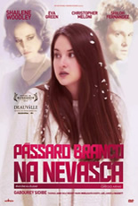 Pássaro Branco na Nevasca