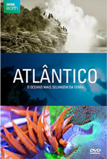 Atlântico O Oceano Mais Selvagem da Terra