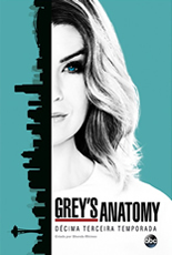 Greys Anatomy Décima Terceira Temporada