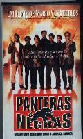Panteras Negras