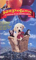 Napoleon As Aventuras De um Caozinho Valente