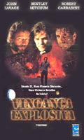 Vingança Explosiva