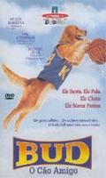 Bud O Cao Amigo